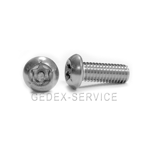 Sicherheitsschrauben Iso 7380 M5x8 Bis M5x60 A2 Torx-Pin Ohne Werkzeug Edelstahl