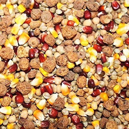 1kg CarpXL Karpfen Partikel-Mix mit roten und gelben Mais