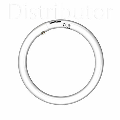 Lampadina Fluorescente OSRAM L 140W 20 COOL WHITE T12 Tubo G13 38mm - Foto 10
