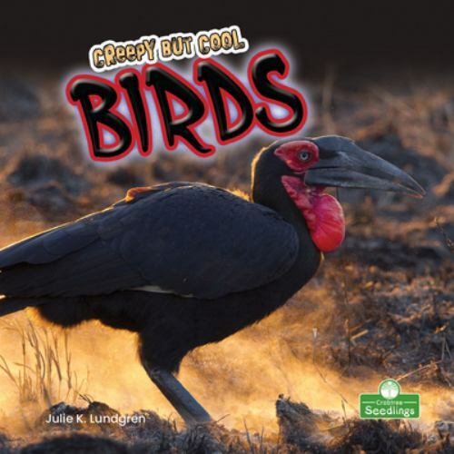Birds by Julie K. Lundgren (2021, Hardcover) for sale online | eBay