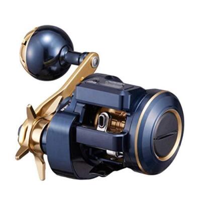 ２１ＳＡＬＴＩＧＡ　ＩＣ　１００ Sportline 21 SALTIGA IC 100 Baitcasting Reel | eBay