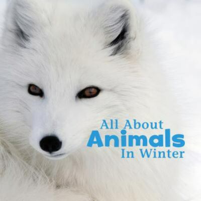 All About Animals in Winter (Celebrate Winter) by Rustad, Martha E. H., Good Boo