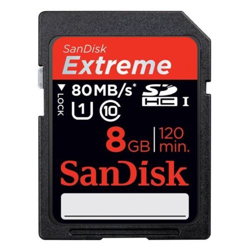 SanDisk SDHC Camera Memory Cards