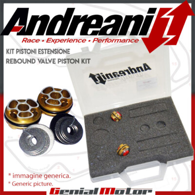 Andreani Kit Pistoni Pompanti Estensione Ducati Hypermotard 1100 SP 2013 13