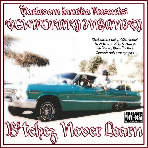Temporary Insanity: Bitchez Never Learn by Darkroom Familia (CD