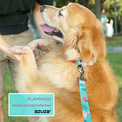 azuza Dog Collar and Leash Set, Pattern Printing,Adjustable Nylon Collar with M