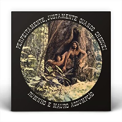 Rubinho E Mauro Assumpcao Perfeitamente, Justamente Quando Cheguei LP Vinyl