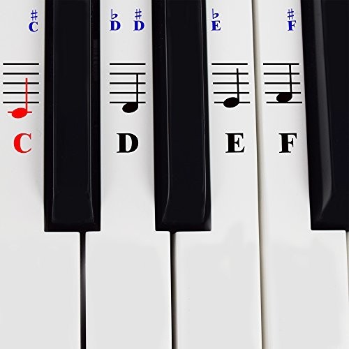 Piano Stickers for 49/61/ 76/88 Key Keyboards  Transparent Removable with Eas