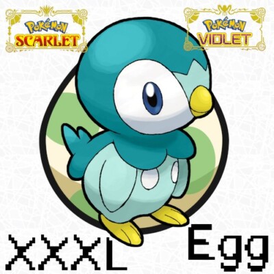 Piplup XXXL Shiny Egg Lv. 1 6IV Jumbo Mark Size Modest Pokemon Scarlet Violet SV