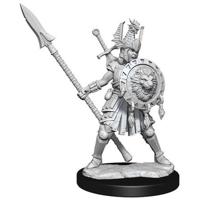 Фреймворки Wizkids Dungeons & Dragons: Женщина-боец-человек WZK 75025