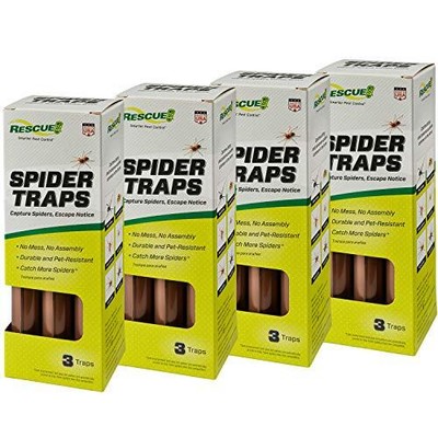 – Catches Brown Recluse, Hobo Spiders, Black Widows & Wolf