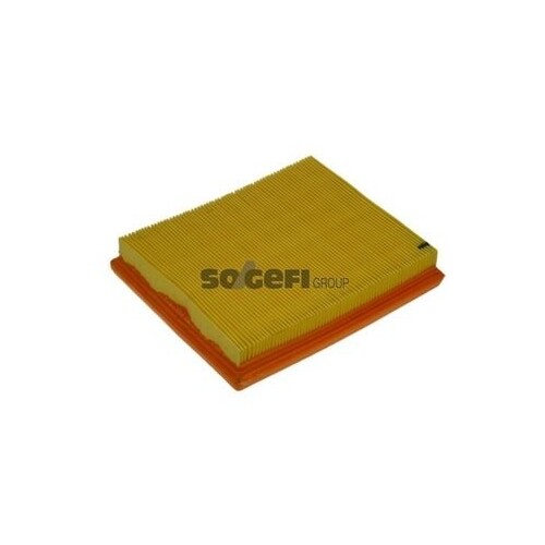 Purflux Filtre Ã  Air Pour Peugeot Ac A1036