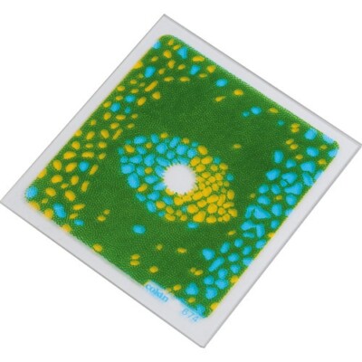 COKIN CREATIVE FILTER P SERIES P674 Blue/Yellow Bi-Color Center Spot Resin Filte