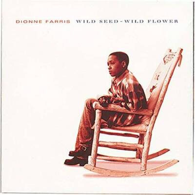 Wild Seed Wild Flower - Audio CD By Dionne Farris - VERY GOOD