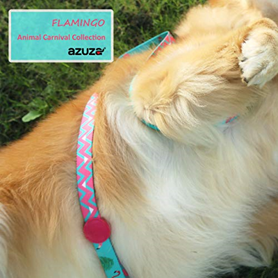 azuza Dog Collar and Leash Set, Pattern Printing,Adjustable Nylon Collar with M