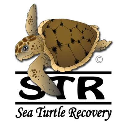 Sea Turtle Recovery, Inc.