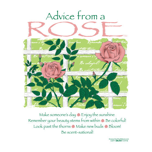 Advice From a Rose T-shirt Medium Cotton White Garden Short