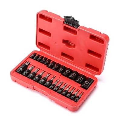 25 Piece Torx Bit & Socket Set,13 Star Bits,Grade Auto & Motorcycle Mechanic Set