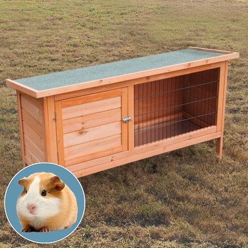 Guinea Pig hutches in Ferndown, Dorset Gumtree