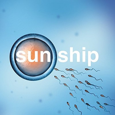 Brian Jonestown Mass - Sun Ship - New Vinyl Record 10 - T5z