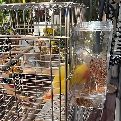Automatic Bird Feeder Seed Feeders Food Container for Parrot Canary Cockatoo