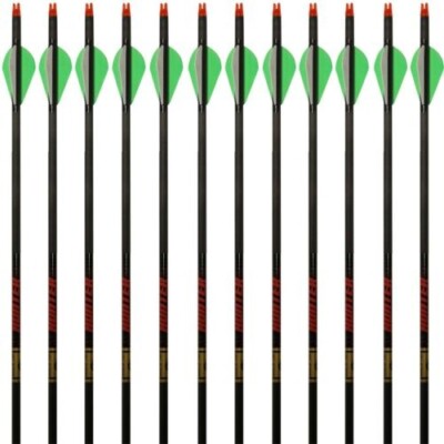 Gold Tip Arrows Hunter Black 300 1 Dozen 2  Raptor Vanes #87681