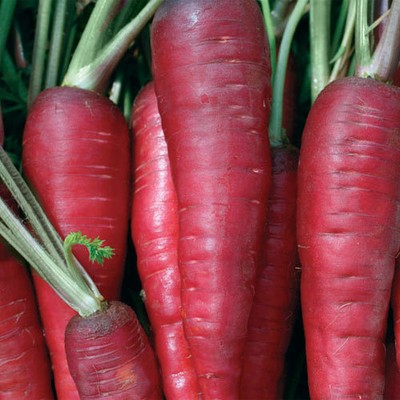 rare red carrot atomic red heirloom vegetable seeds-comb. s/h