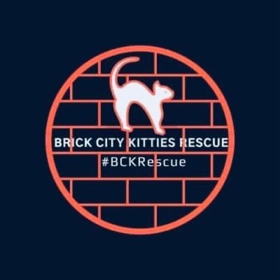 Brick City Kitties Rescue
