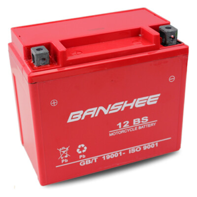 Replacement Battery for YTX12-BS 12V 10AH Honda TRX350 Rancher 00-06