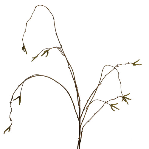 KÃ¼Nstlicher Birkenzweig 100cm Kunstblumen Beiwerk Fruehjahr Fruehlingsdeko