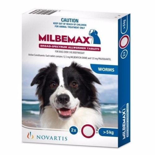 NexGard Dog Topical Flea & Tick Remedies & Collars