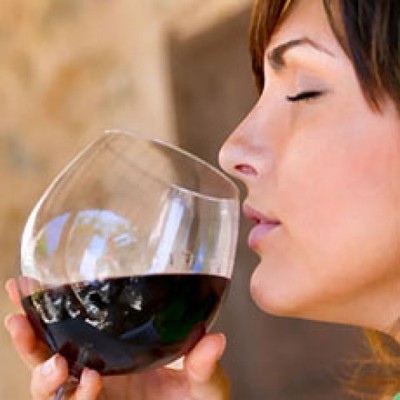 Wine collection Tracker for the wine connoisseur   wine database wine list
