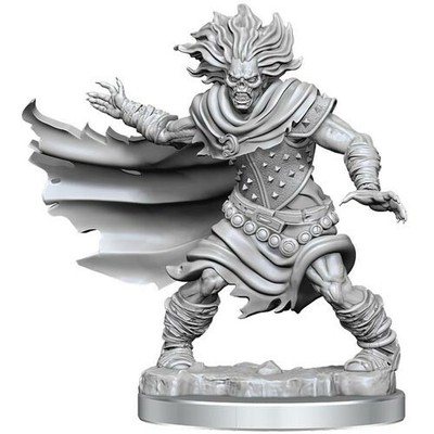 Фреймворки WizKids Dungeons & Dragons: Wight WZK 75052