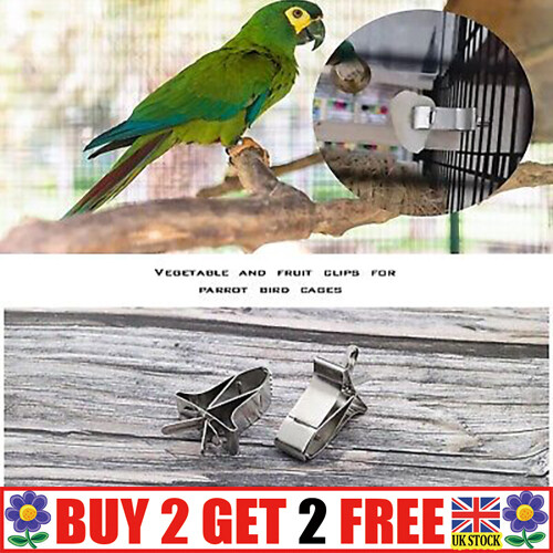 Accessories Fruit Clip Feeding Clamp Parrot Feeder Bird Food Holders Gn