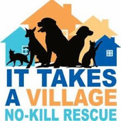 It Takes A Village Rescue