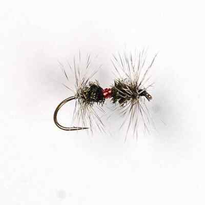 One dozen (12) Royal Renegade dry fly size 10