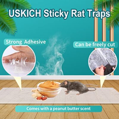 Sticky Mouse Traps, 5Pack Large Clear Glue Mouse Traps with Peanut Butter Scent