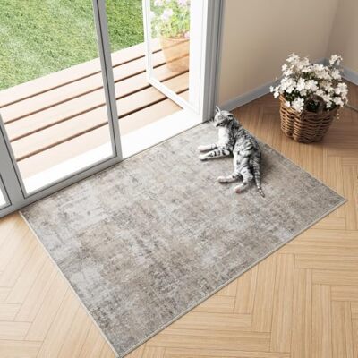 Machine Washable Area Rug 2x3 Beige Grey 2'x3' Abstract