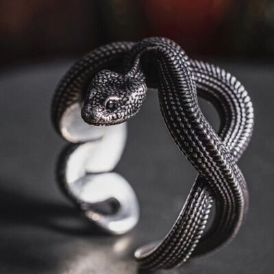 Fashion 925 Silver Plated Ring Snake Jewelry Gift Women/Men Party Ring Sz 6-10