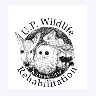 U.P. Wildlife Rehabilitation