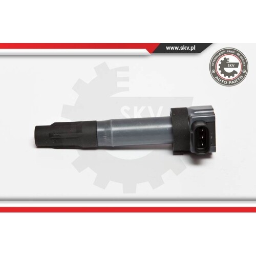 Esen Skv Bobine D'Allumage Pour Fiat Hitachi 03skv203