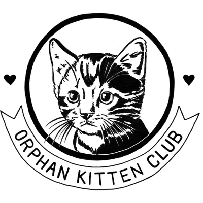 Orphan Kitten Club