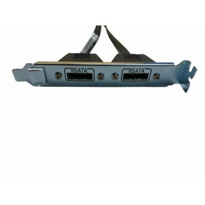 2 Port eSATA Extension to SATA for HP ZWorkstation 447207-002 Rev B Foxconn
