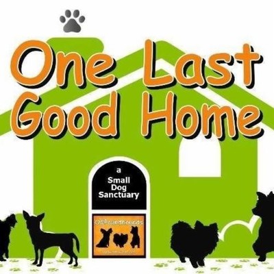 OCPoundHounds Small Breed Rescue