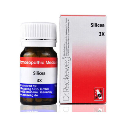 Dr. Reckeweg Silicea Tablet 3x 6x 12x 30x 200x FREE SHIPPING