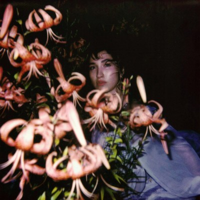 SHIRLEY HURT (CLEAR VINYL) by Shirley Hurt [VINYL]