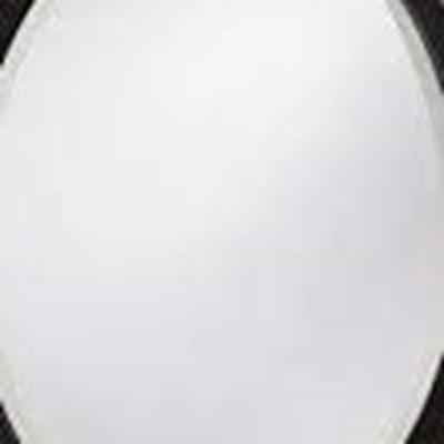 Ertop Store Round Oval Bathroom Wall Mirror With Beveled Edge And Bronze Frame