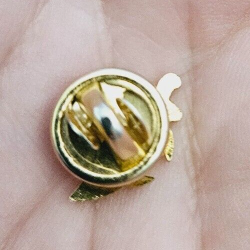 Masonic ZOR Sword Metal Pinback