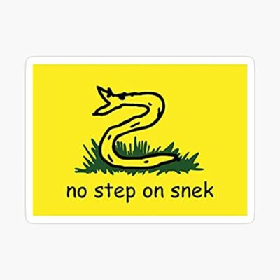 No Step On Snek Bumper Sticker StickerVinyl Waterproof Sticker Decal Car Laptop