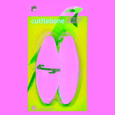 Prevue Cuttlebone Birdie Basics Large 6'' Long 2 count